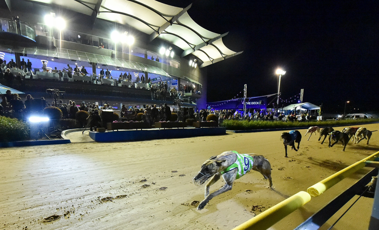 Spring brings a change to Wednesday Racing | Melbourne Greyhounds