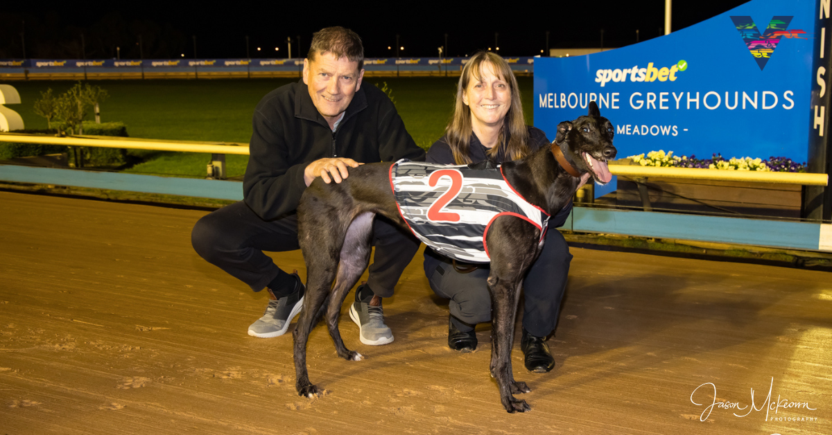 Greyhound Mackeena wins at 'The Meadows' Oct 2023