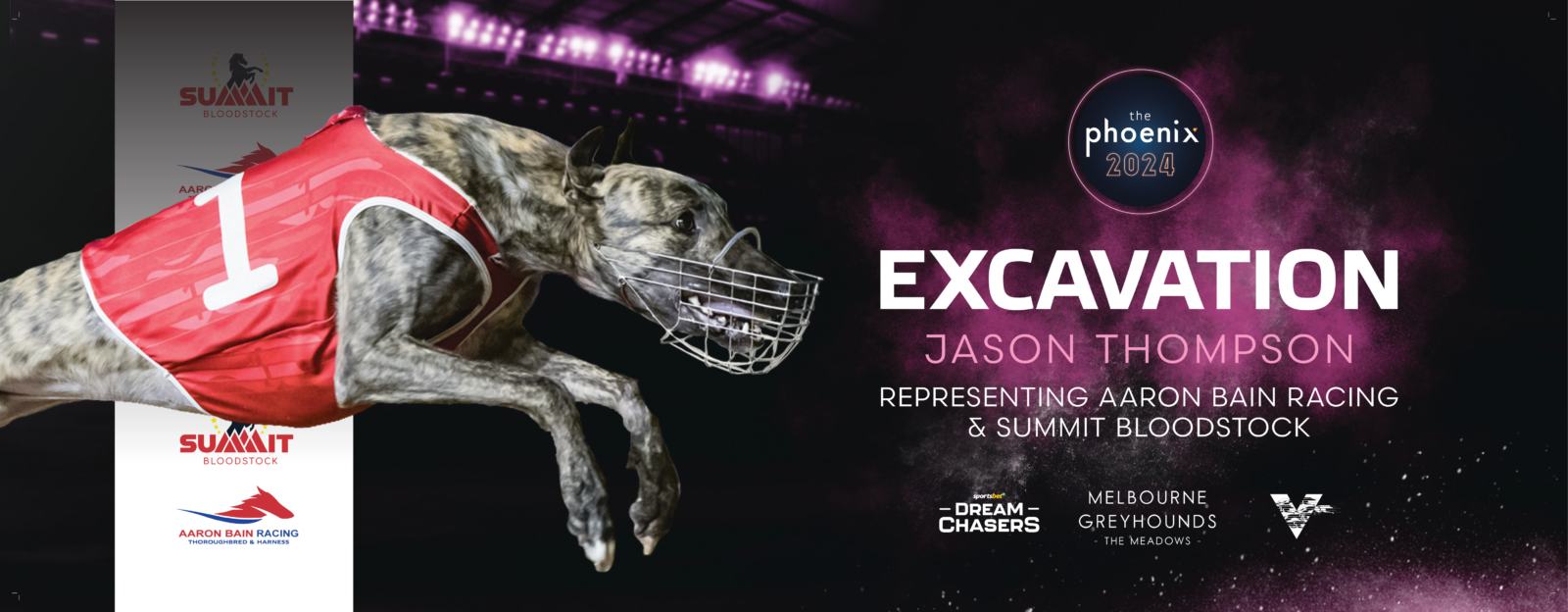 Runner-by-Runner Guide to the G1 Phoenix | Melbourne Greyhounds