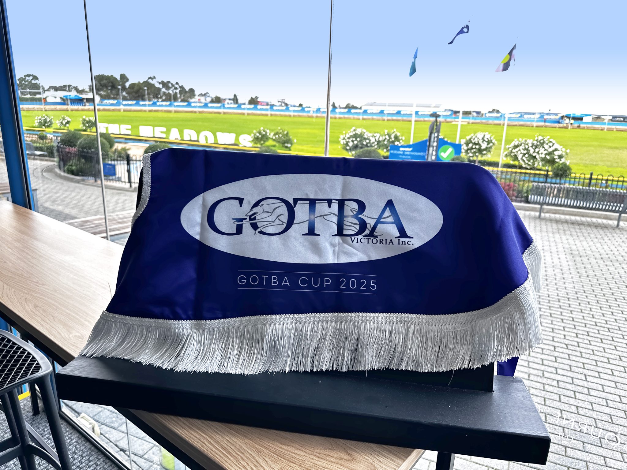 GOTBA Cup Rug 2025
