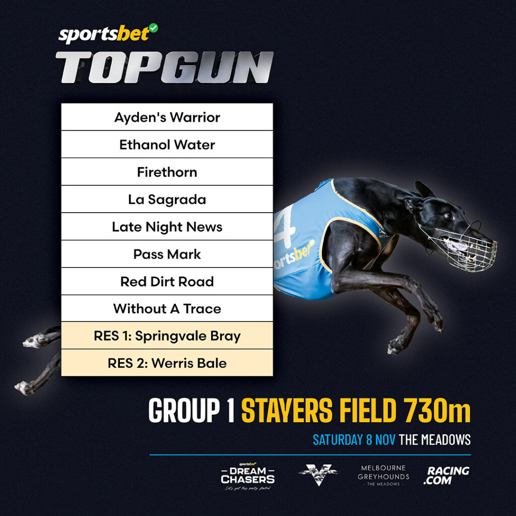 2025 Group 1 Topgun Stayers Field 