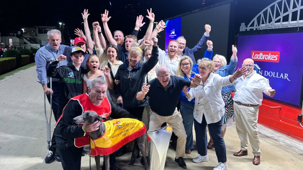 Power and Glory Connections after MDC victory